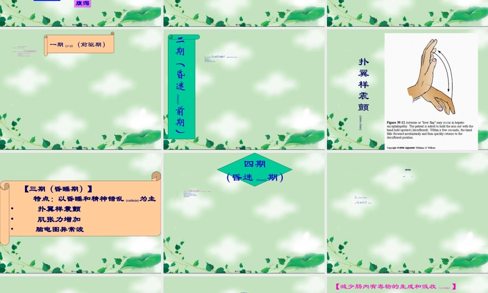 2022年医学专题—第十节--肝性脑病.ppt