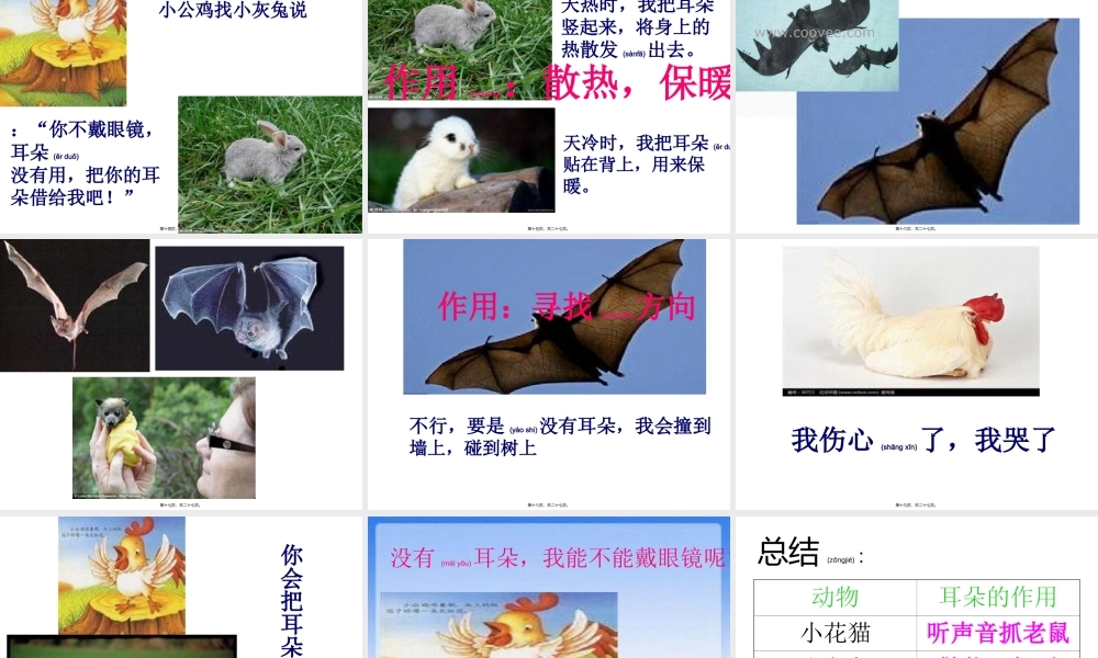 2022年医学专题—第十课：小公鸡借耳朵.ppt