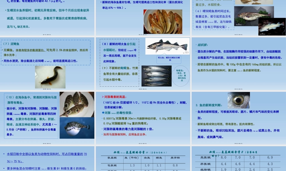 2022年医学专题—第四章-水貂饲料与营养.pptx