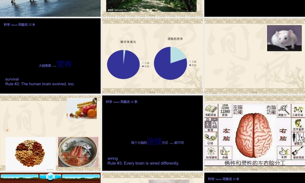 2022年医学专题—第四节---合理用脑.ppt