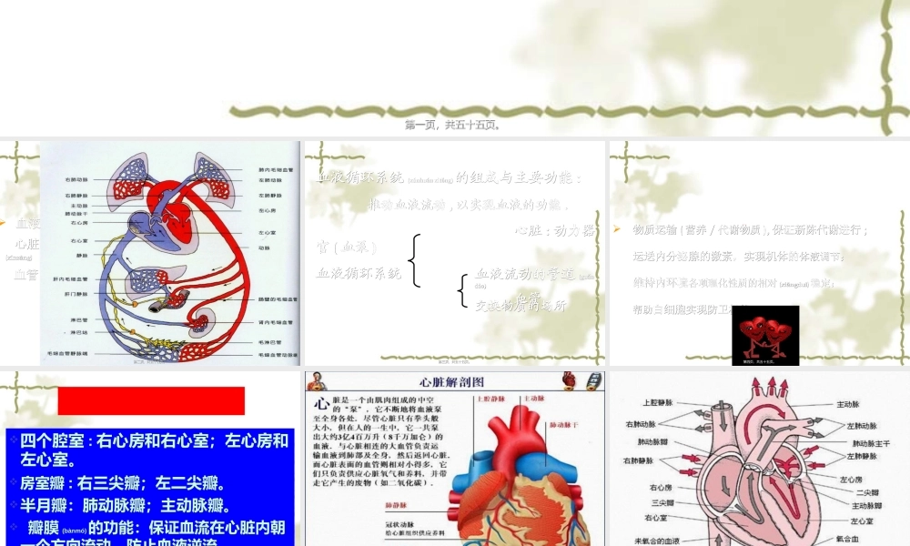 2022年医学专题—第四篇---血-液-循环.ppt