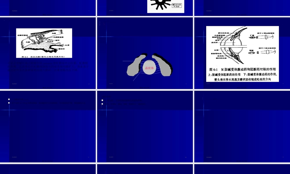 2022年医学专题—第四讲胆碱受体激动药.ppt
