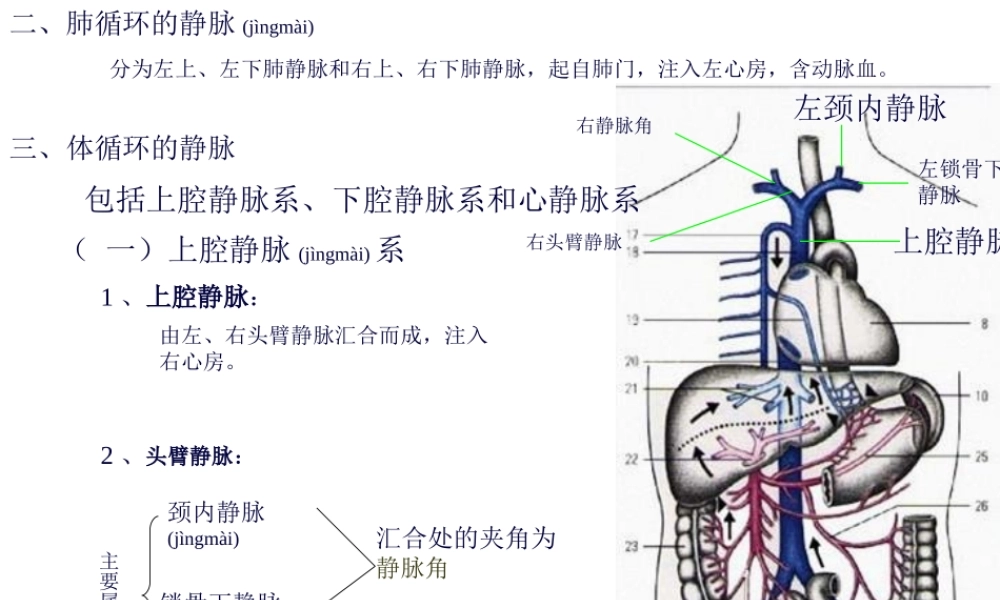 2022年医学专题—第四节-静脉.ppt
