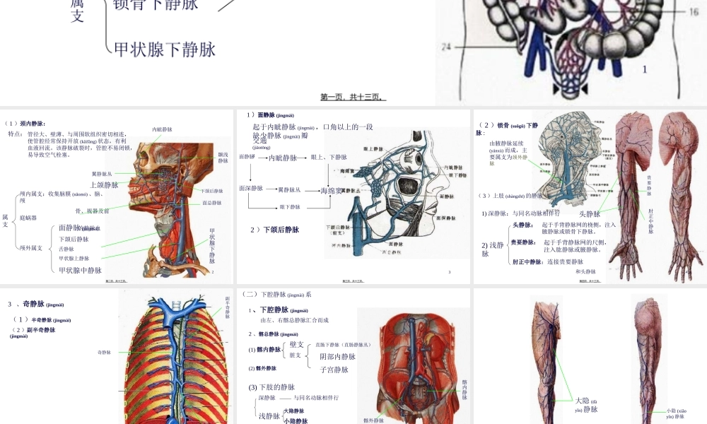 2022年医学专题—第四节-静脉.ppt