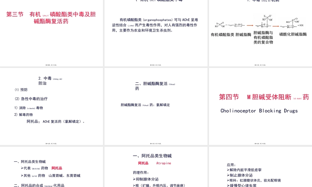 2022年医学专题—第章-胆碱受体激动药和阻断药.ppt