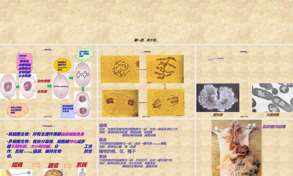 2022年医学专题—精品]有丝细胞分裂.ppt