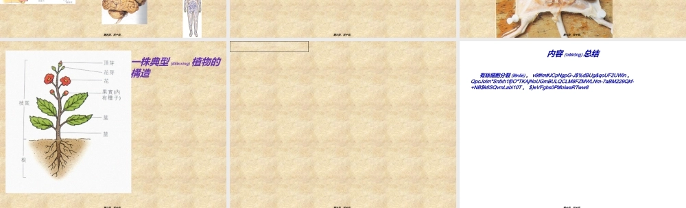 2022年医学专题—精品]有丝细胞分裂.ppt