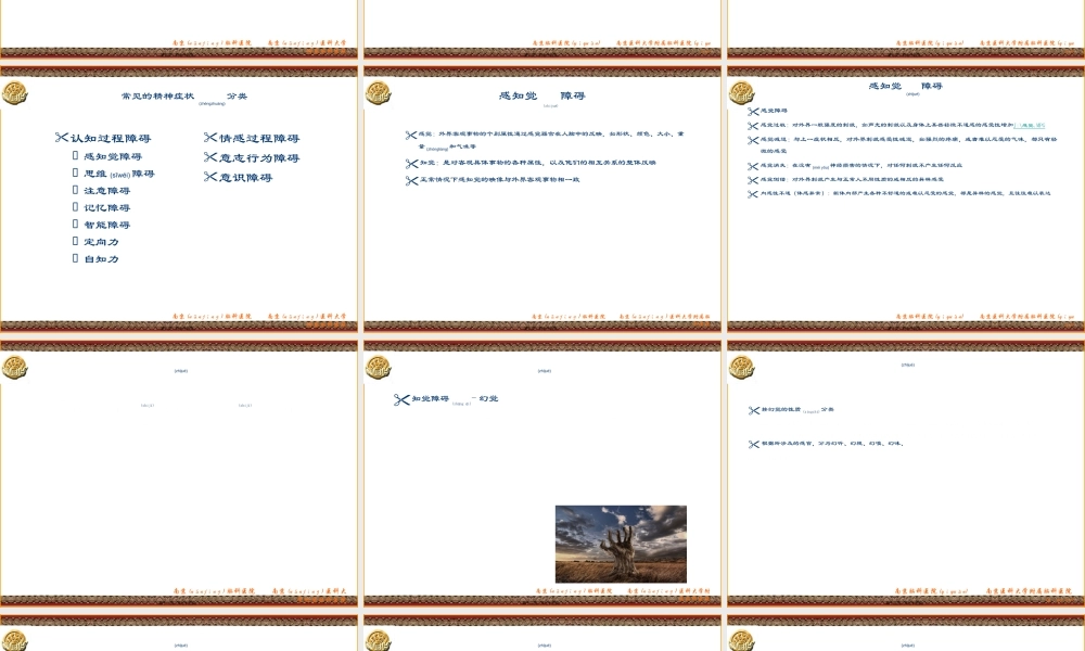 2022年医学专题—精神病症状学(新)指导.ppt