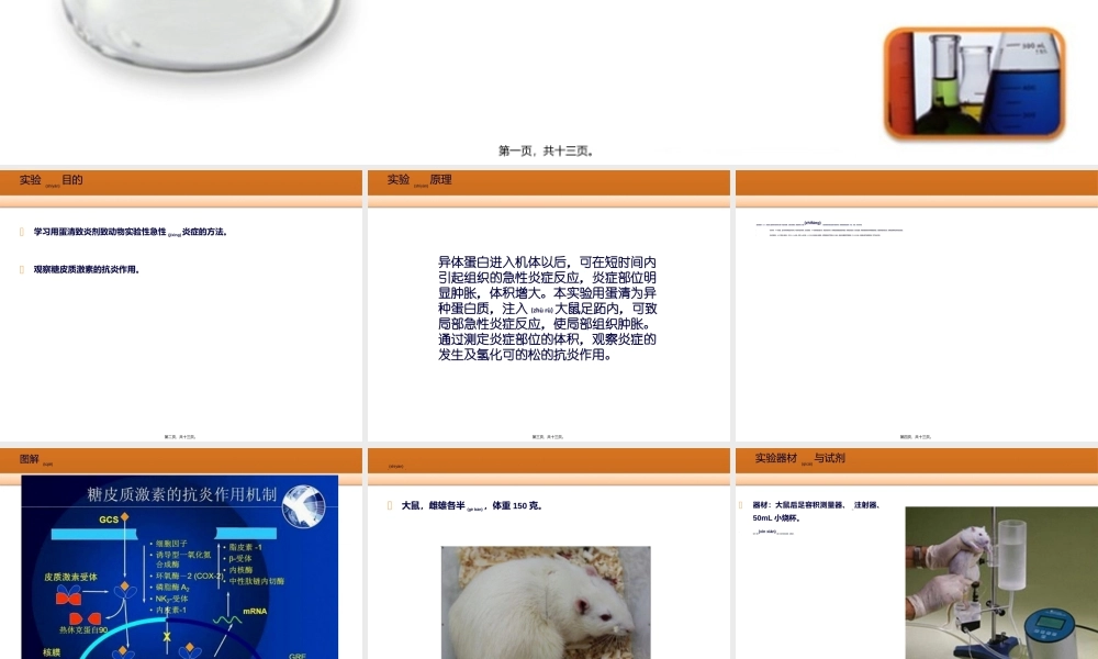 2022年医学专题—糖皮质激素的抗炎作用.ppt