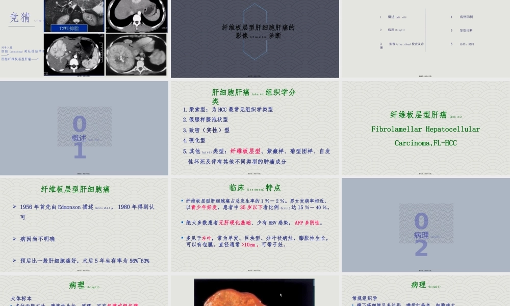 2022年医学专题—纤维板层型肝癌.pptx