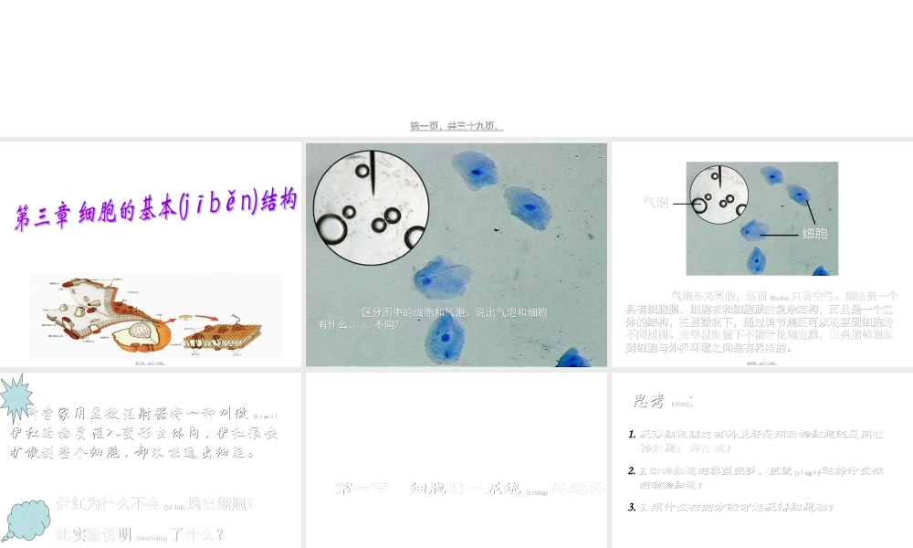 2022年医学专题—纤维素和果胶植物细胞的细胞壁.ppt