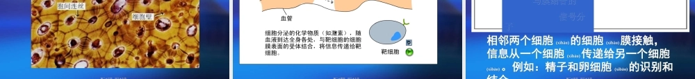 2022年医学专题—纤维素和果胶植物细胞的细胞壁.ppt
