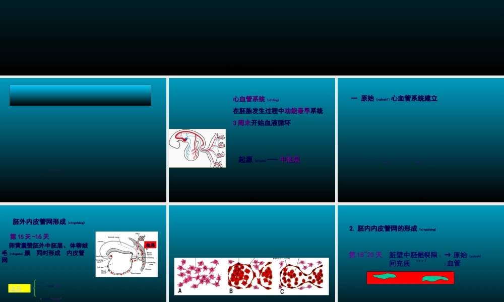 2022年医学专题—组织学与胚胎学-心血管系统发生.ppt