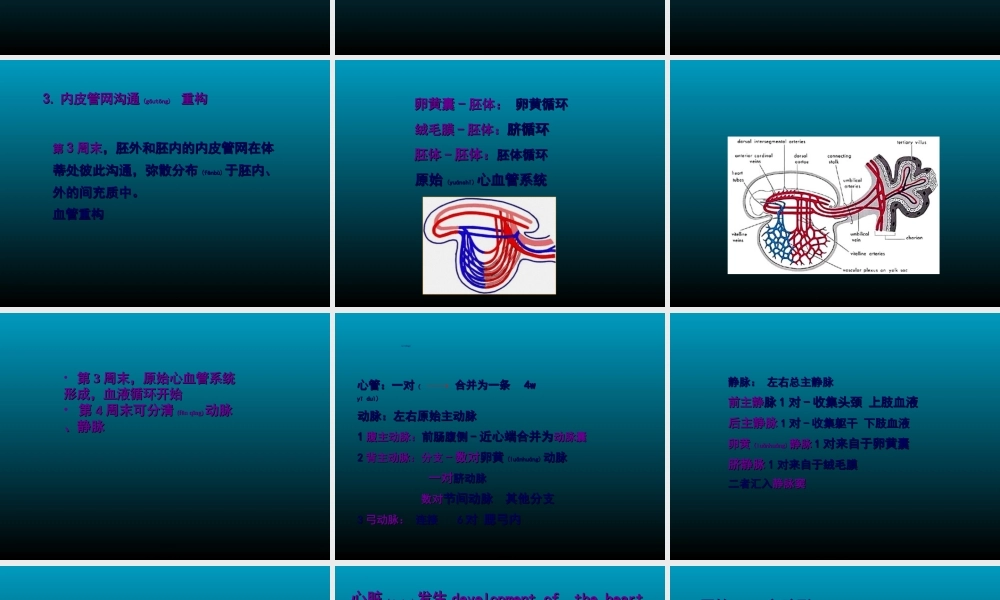 2022年医学专题—组织学与胚胎学-心血管系统发生.ppt