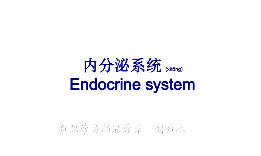 2022年医学专题—组织胚胎学内分泌系统.ppt