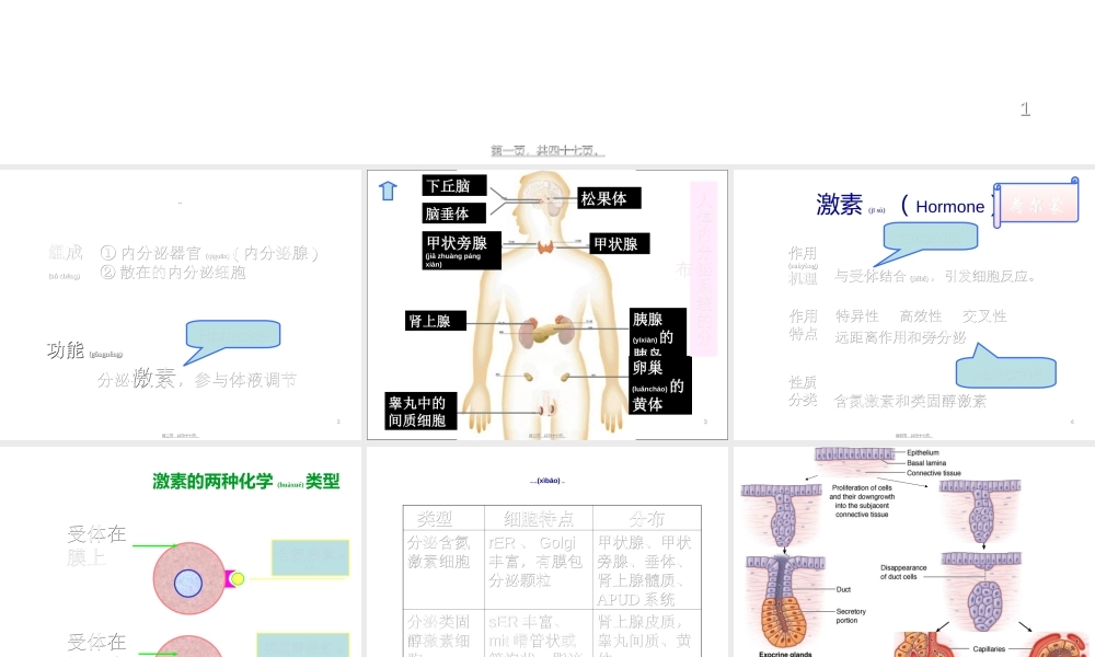 2022年医学专题—组织胚胎学内分泌系统.ppt