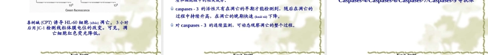 2022年医学专题—细胞凋亡的流式细胞术检测.ppt