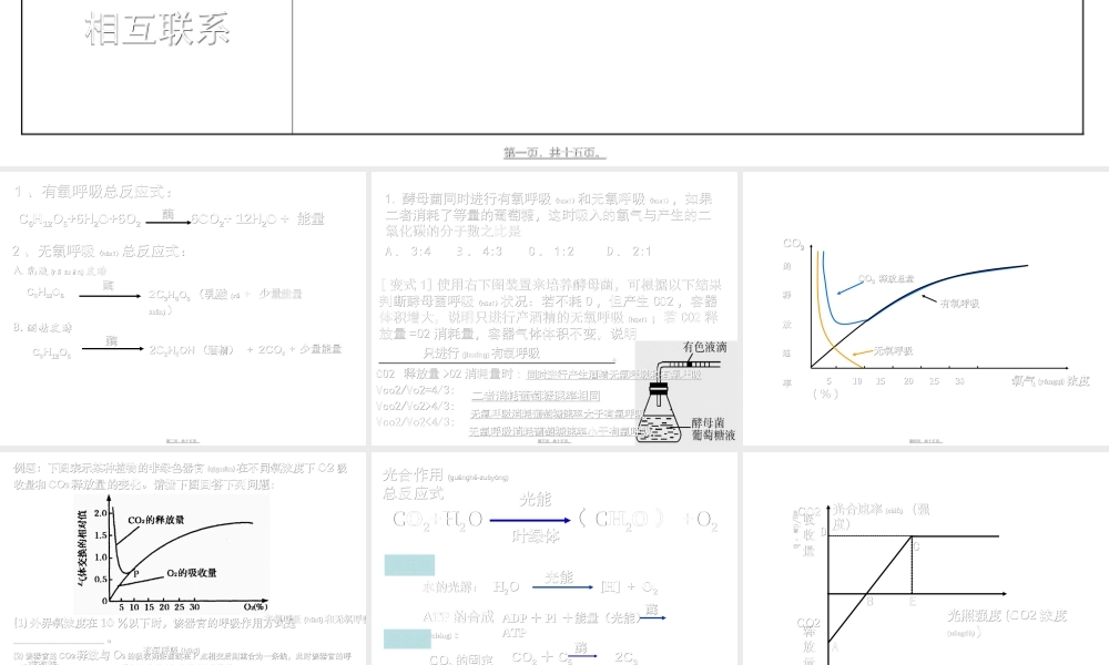 2022年医学专题—细胞呼吸及光合作用.ppt