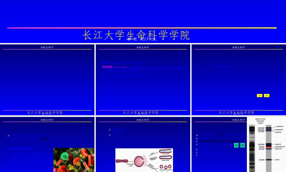 2022年医学专题—细胞基本知识概要.ppt