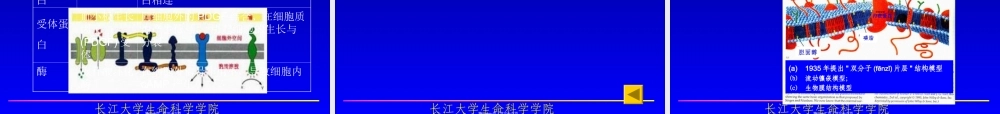 2022年医学专题—细胞基本知识概要.ppt