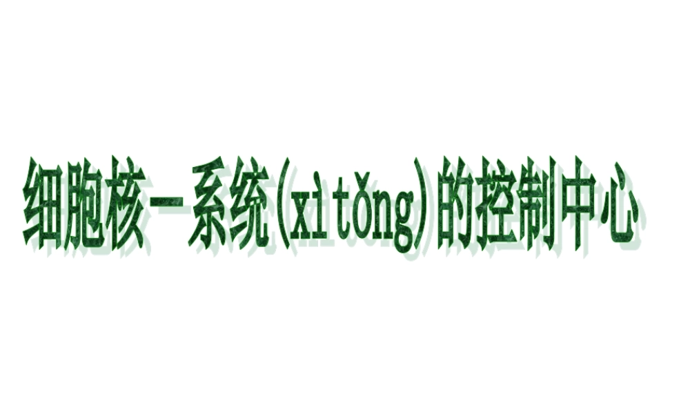 2022年医学专题—细胞核的结构和功能.ppt