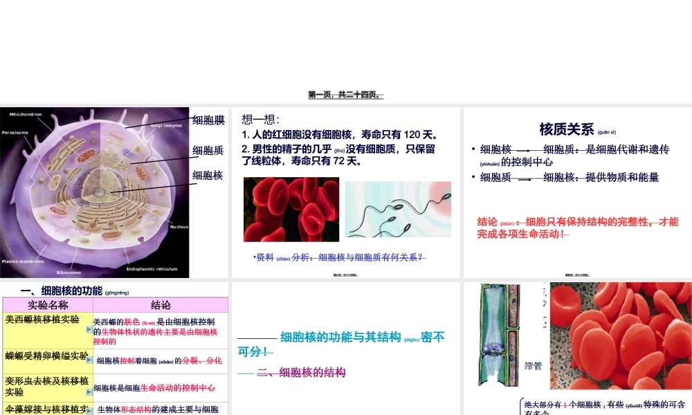 2022年医学专题—细胞核的结构和功能.ppt