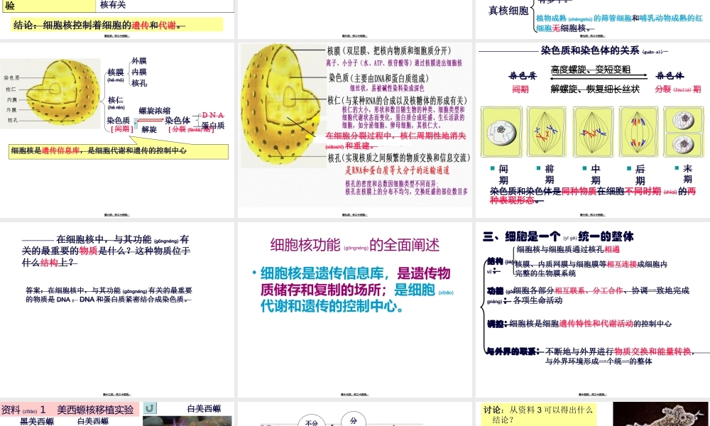 2022年医学专题—细胞核的结构和功能.ppt