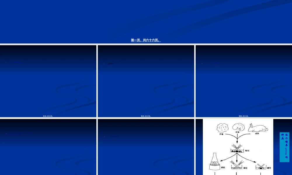 2022年医学专题—细胞工程的理论基础.ppt