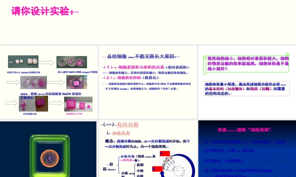 2022年医学专题—细胞的增殖讲课用.ppt