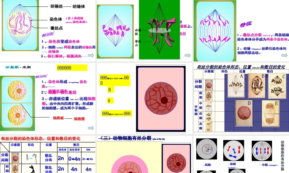 2022年医学专题—细胞的增殖讲课用.ppt