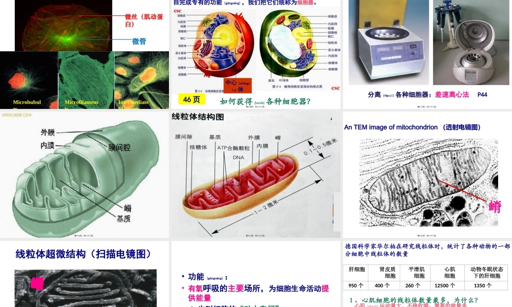 2022年医学专题—细胞的基本结构.ppt