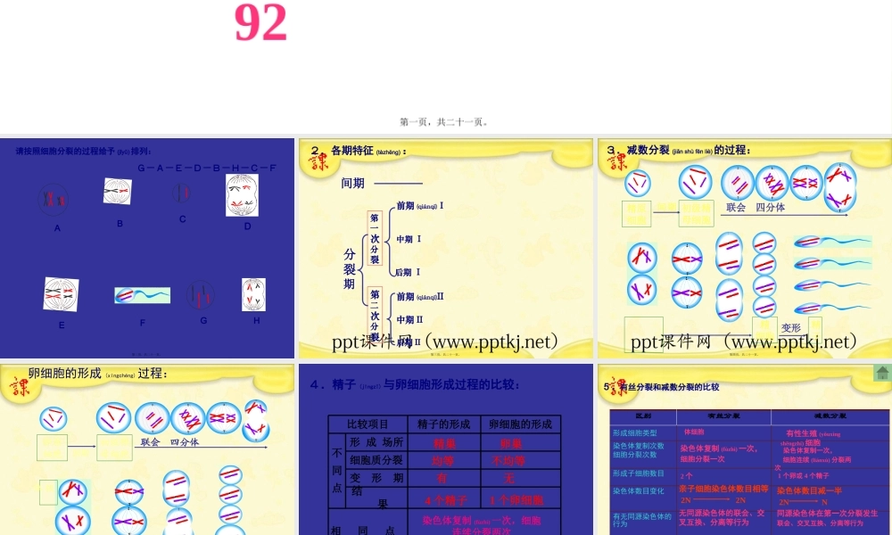 2022年医学专题—细胞的减数分裂.pptx