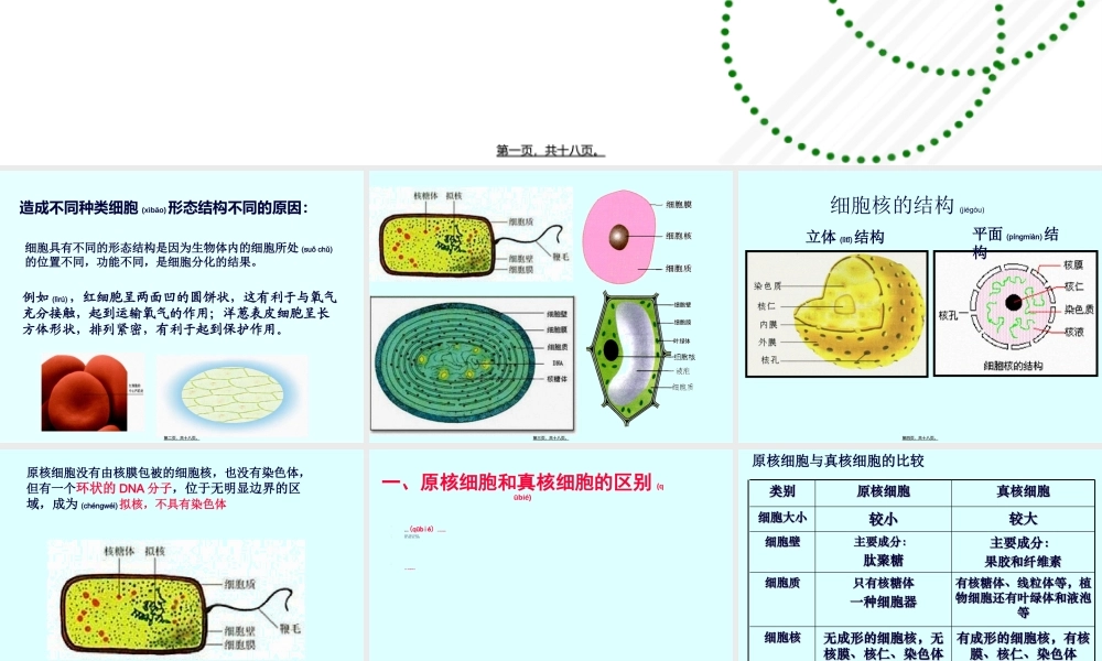 2022年医学专题—细胞的多样性和统一性市级公开课.ppt