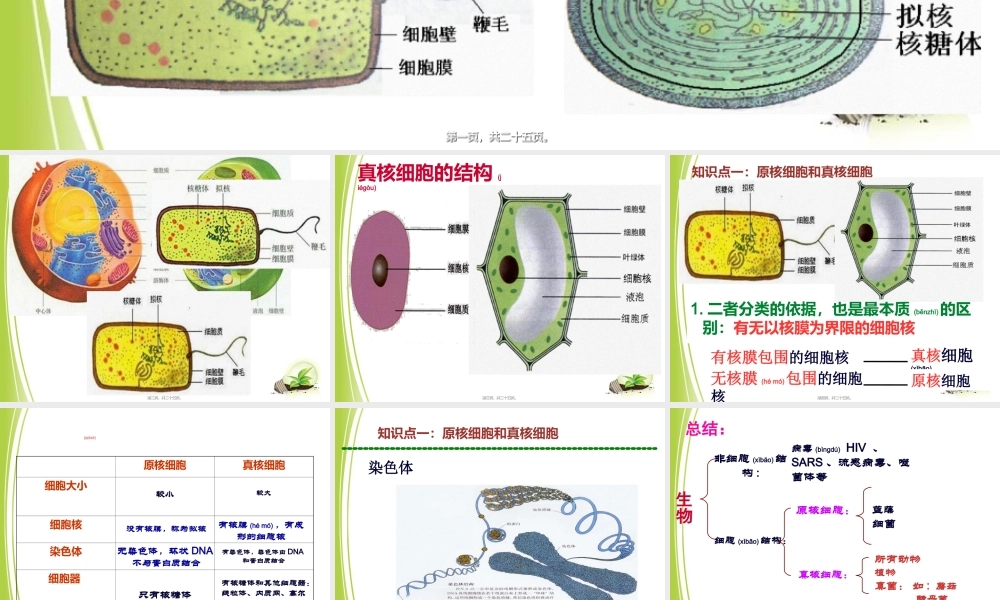 2022年医学专题—细胞的多样性和统一性(共24张PPT).ppt