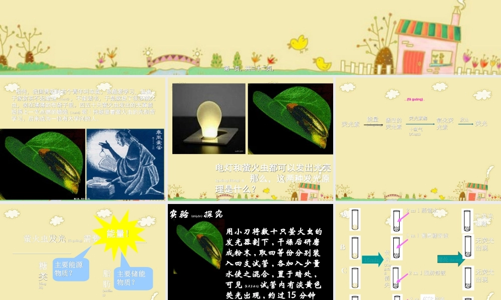 2022年医学专题—细胞的能量“通货”.ppt