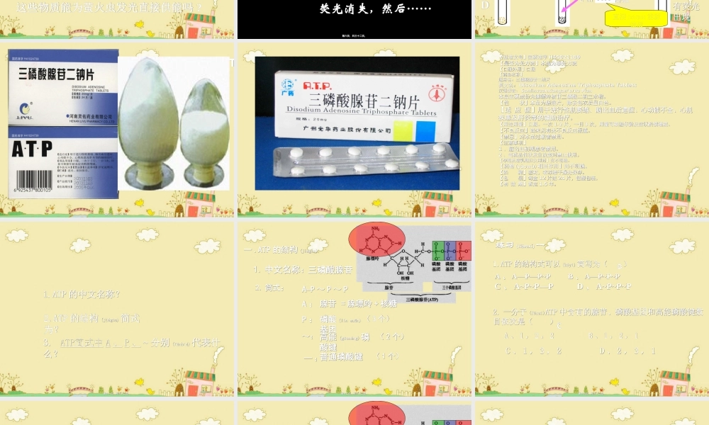 2022年医学专题—细胞的能量“通货”.ppt