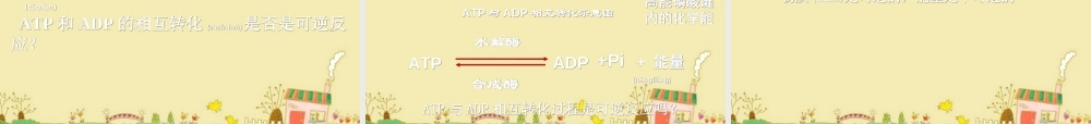 2022年医学专题—细胞的能量“通货”.ppt