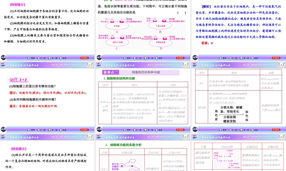 2022年医学专题—细胞膜与细胞核的结构和功能.ppt