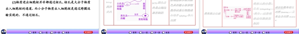 2022年医学专题—细胞膜与细胞核的结构和功能.ppt