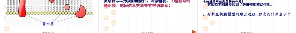 2022年医学专题—细胞膜的流动镶嵌模型-ppt.ppt