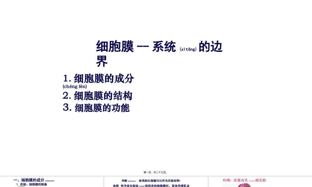 2022年医学专题—细胞膜一复习.pptx