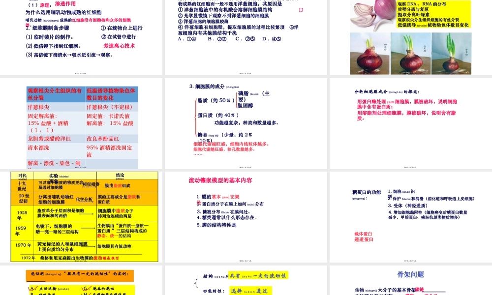 2022年医学专题—细胞膜一复习.pptx