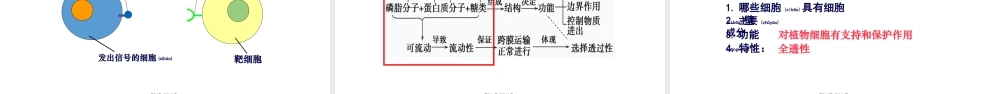 2022年医学专题—细胞膜一复习.pptx