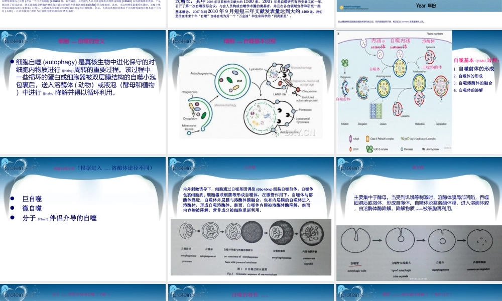 2022年医学专题—细胞自噬机制.ppt