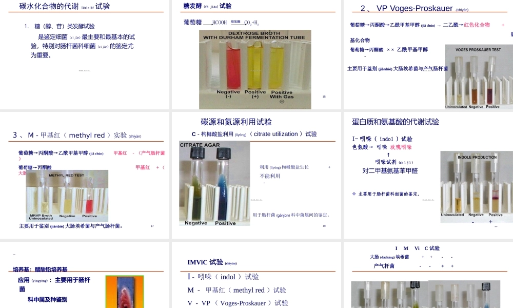 2022年医学专题—细菌生长繁殖与代谢.ppt