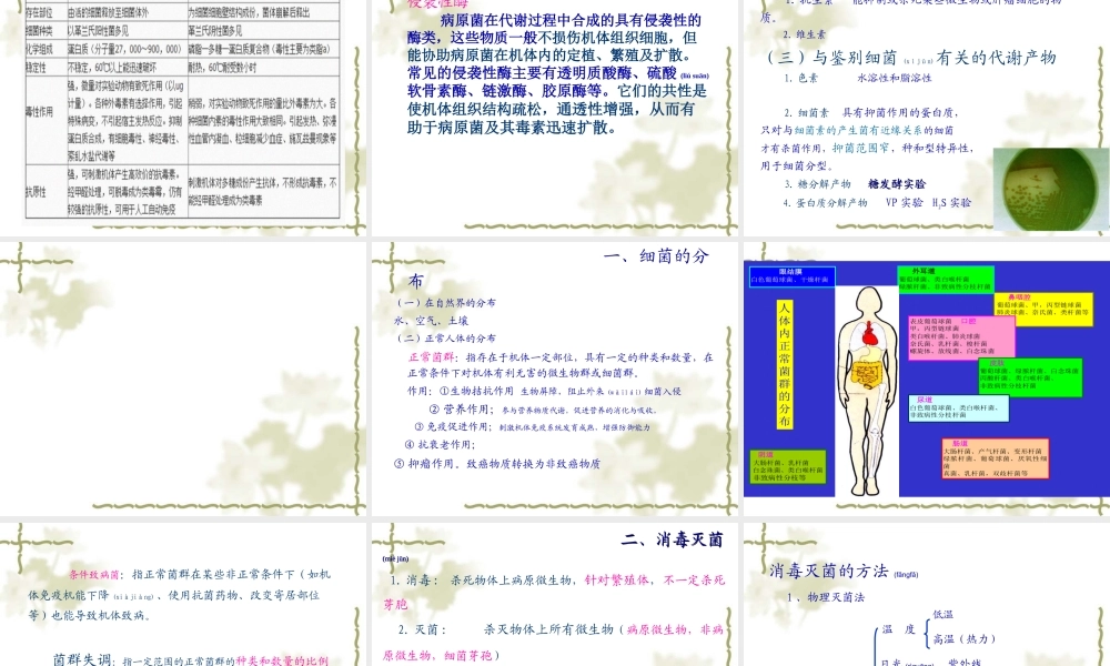 2022年医学专题—细菌的生理、分布、消毒灭菌.ppt