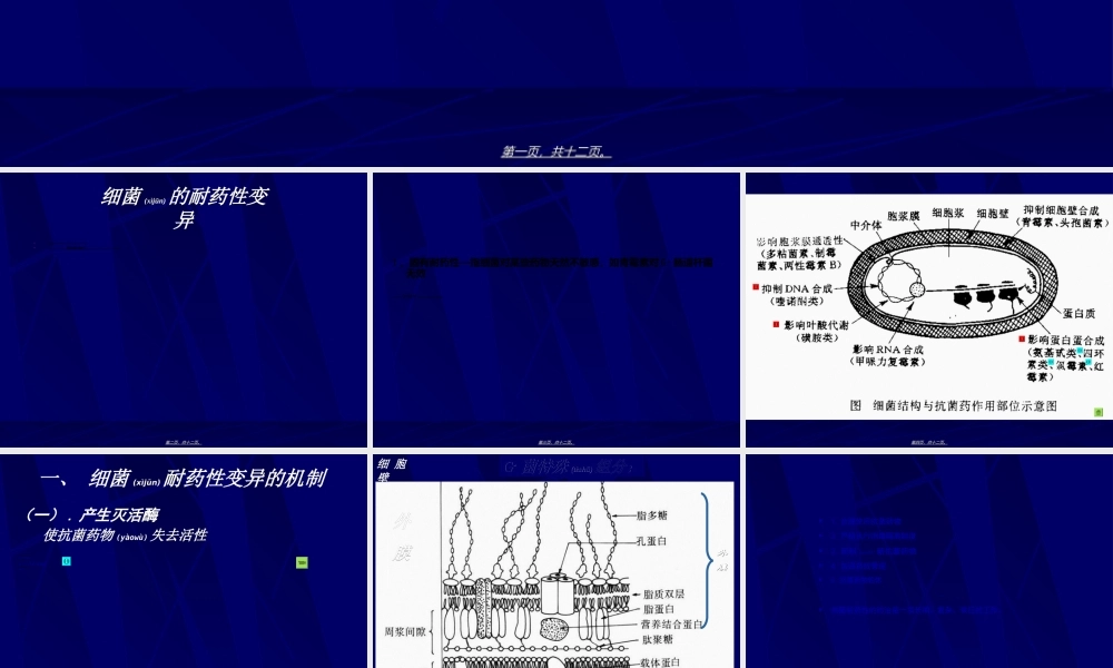 2022年医学专题—细菌耐药性变异剖析.ppt