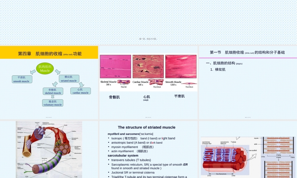 2022年医学专题—肌细胞的收缩功能-(2)资料.ppt