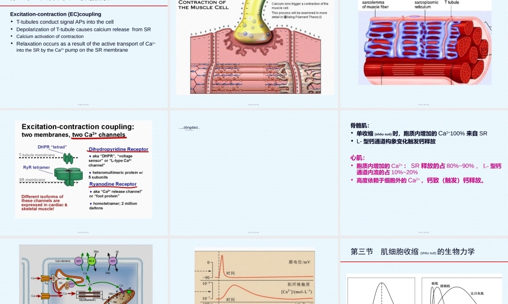 2022年医学专题—肌细胞的收缩功能-(2)资料.ppt