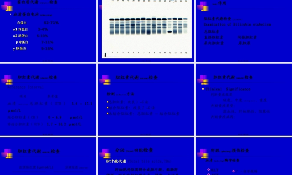 2022年医学专题—肝功能检查(3学时).ppt